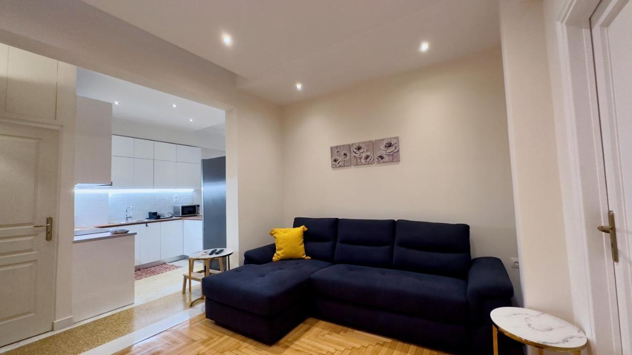 Spacious Luxury Apartment In Athens, Tan Efroniou Eksteriør bilde